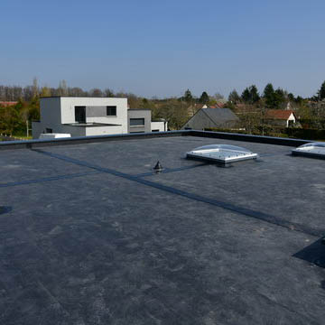 Asphalt Shingle